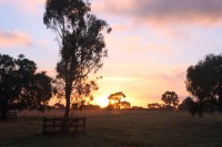 /album/graebar-park-gallery-/rk-sunrise-2-jpg1/