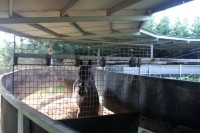 /album/graebar-park-gallery-/rk-undercover-walker-warmup-jpg1/