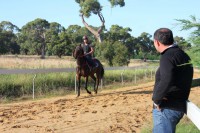 /album/graebar-park-gallery-/rk-trackwork-3-jpg1/