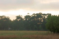 /album/graebar-park-gallery-/rk-lush-pastures-3-jpg/